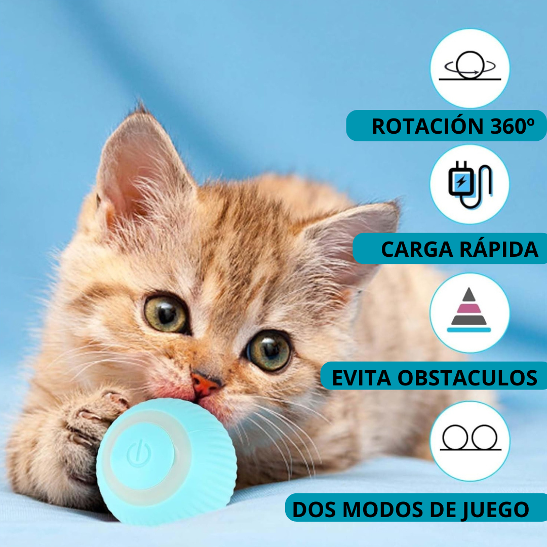 Power Ball 2.0 - Juguete interactivo para gatos