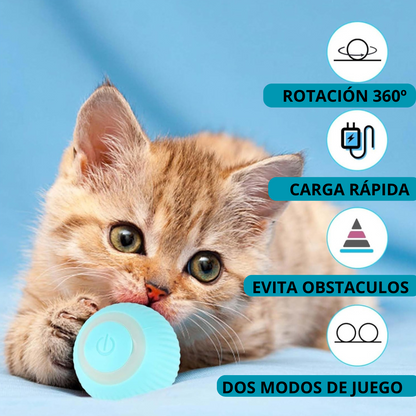 Power Ball 2.0 - Juguete interactivo para gatos