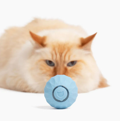 Power Ball 2.0 - Juguete interactivo para gatos