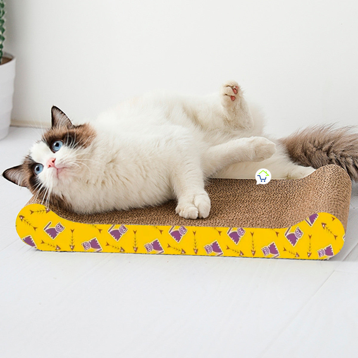 Rascador Anti Estrés