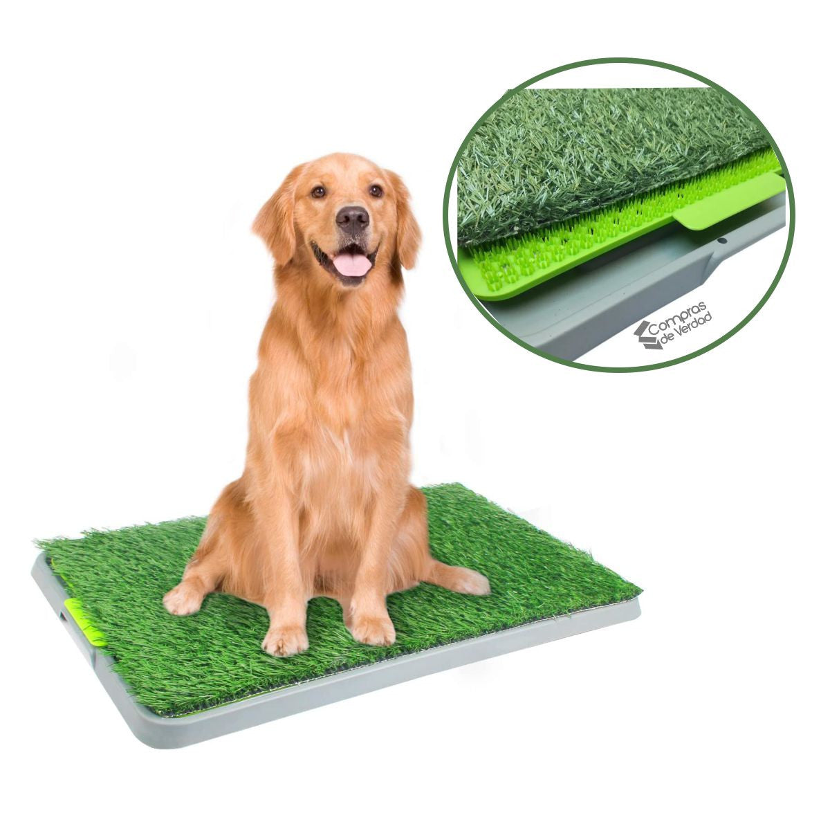 Tapete Entrenamiento Para Perro